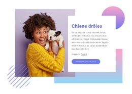 Chiens Drôles