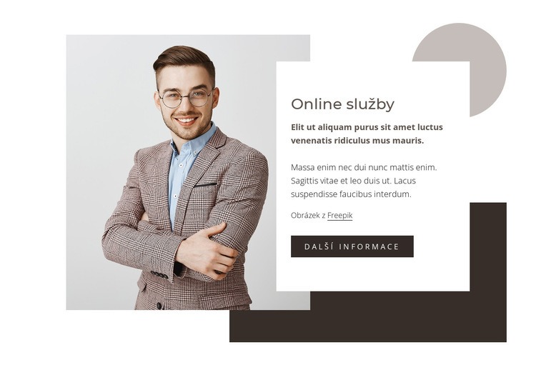 Služby analýzy dat Šablona HTML