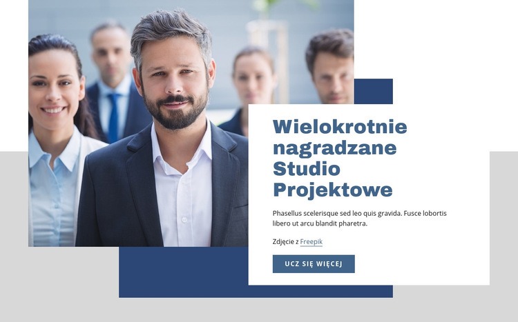 Wielokrotnie nagradzane studio projektowe Makieta strony internetowej