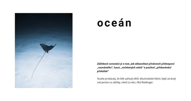 Neuvěřitelný oceánský život Šablona CSS