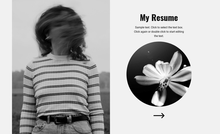 Explore my resume Elementor Template Alternative