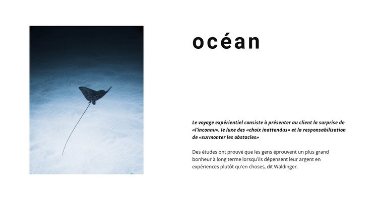 Incroyable vie océanique Modèle d'une page