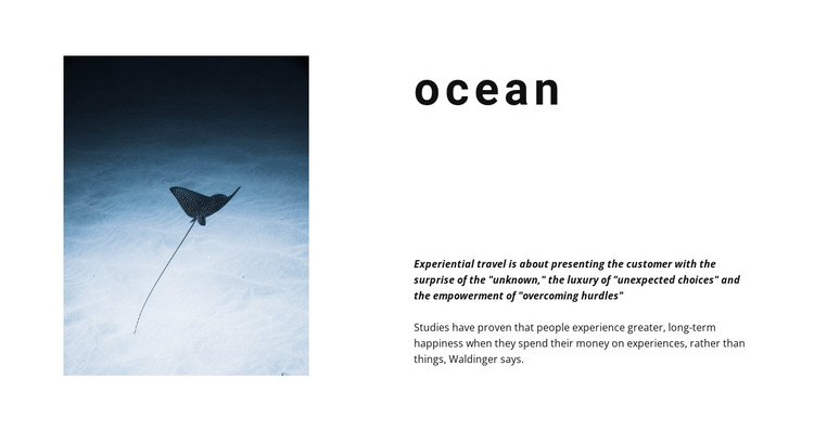 Incredible ocean life HTML Template