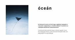 Hihetetlen Óceáni Élet - Websablon