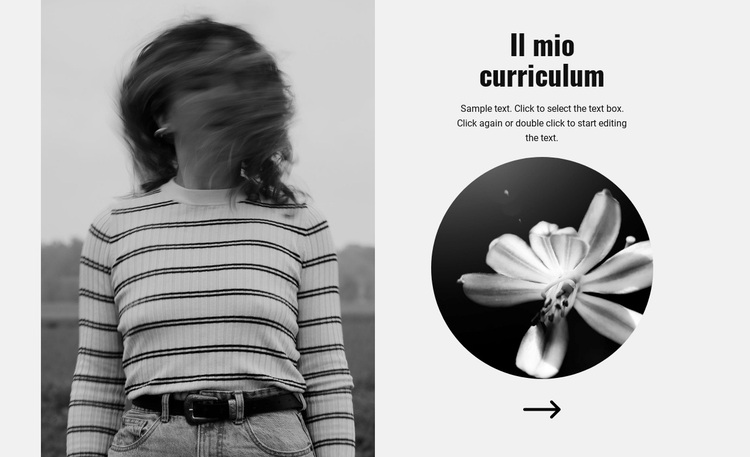 Esplora il mio curriculum Tema WordPress