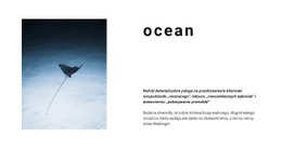 Makieta Witryny Internetowej Dla Niesamowite Życie W Oceanie
