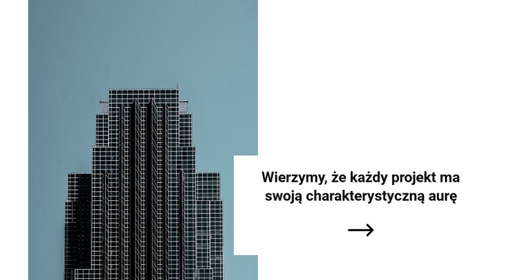 Formy lakoniczne Szablon CSS