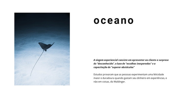 Vida incrível no oceano Design do site
