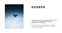 Vida Incrível No Oceano - Modelo Da Web