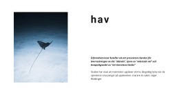 Bästa Webbplatsen För Otroligt Havsliv