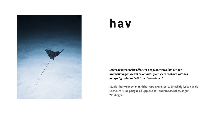 Otroligt havsliv WordPress -tema