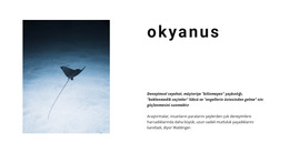 İnanılmaz Okyanus Yaşamı - Web Şablonu