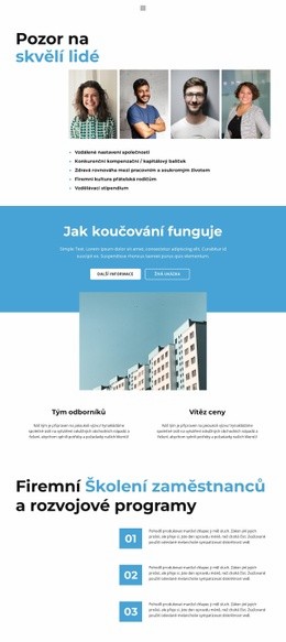 Webová Stránka Pro Firemní Profil