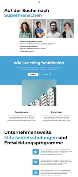 CSS-Vorlage Für Geschäftsprofil