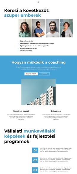 Css-Sablon Ehhez: Vállalkozási Profil