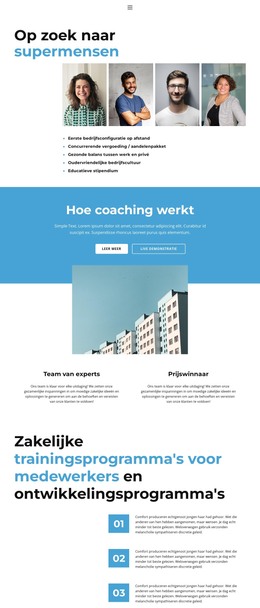 Webpagina Voor Bedrijfsprofiel