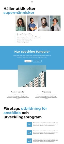 Css-Mall För Affärs Profil