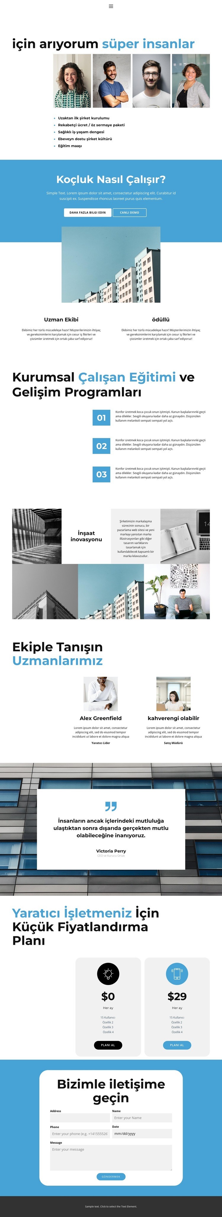 İş profili Web Sitesi Mockup'ı