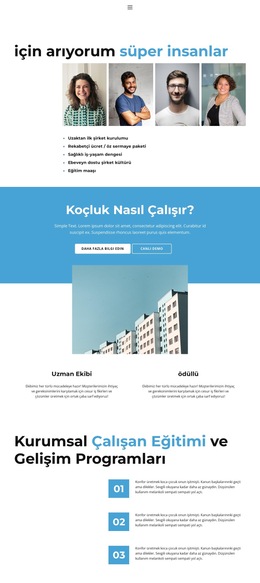 İş Profili Için Css Şablonu