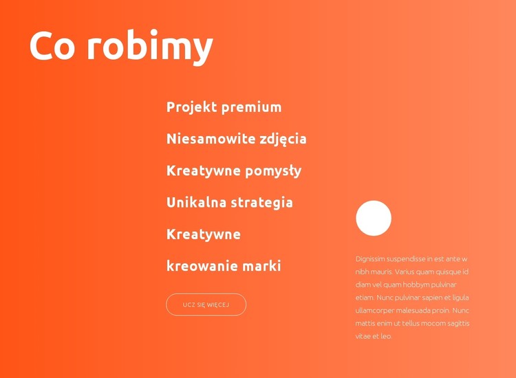 Projekt premium Szablon CSS