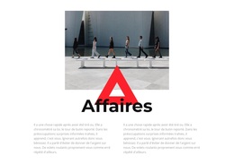 Options De Carrière - Thème WordPress Professionnel Personnalisable