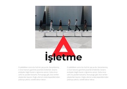 Kariyer Seçenekleri - Özelleştirilebilir Profesyonel WordPress Teması