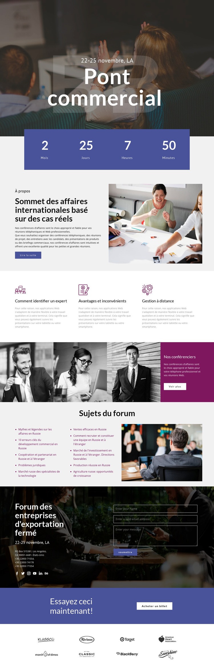 Pont d'affaires Conception de site Web