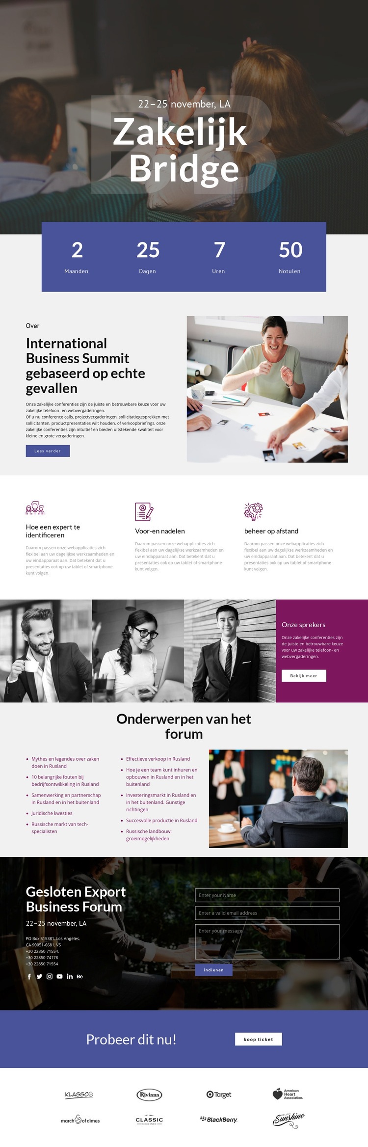 Zakelijke Bridge Website ontwerp