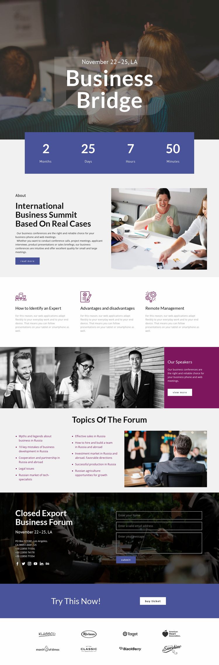 Business Bridge Squarespace Template Alternative