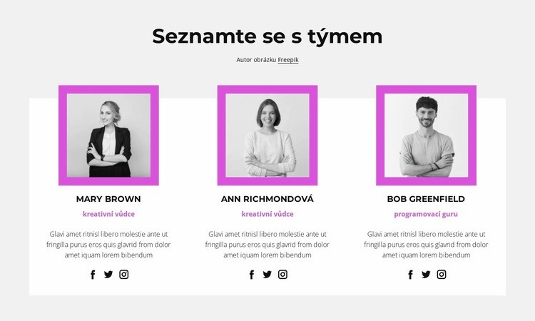 Zaměstnanci společnosti Téma WordPress