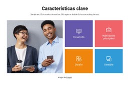 Creador De Sitios Web Premium Para Diseño Y Desarrollo