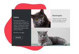 Websiteontwerp Voor Essentiële Verzorgingstips Voor Kitten