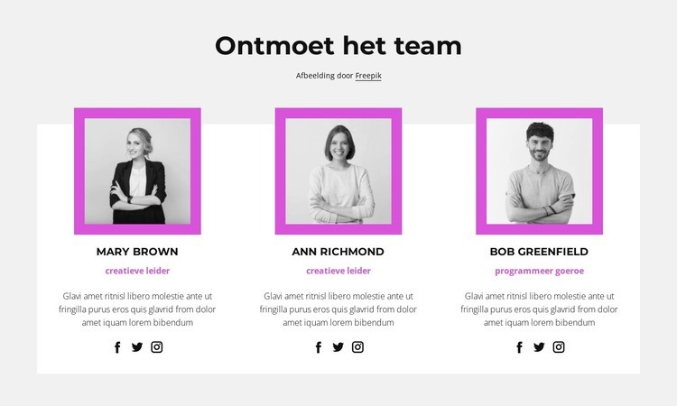 Bedrijfspersoneel Website mockup