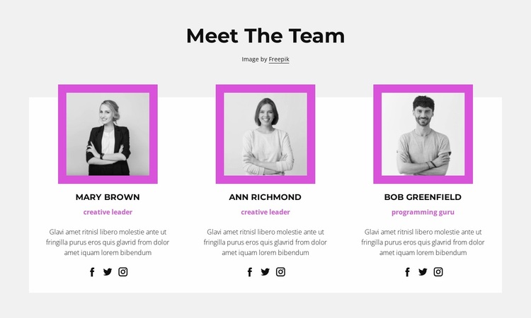 Company staff Website Design