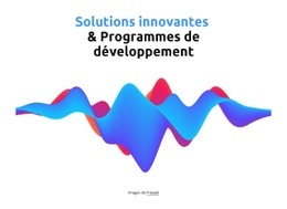 Créateur De Sites Web Polyvalents Pour Programmes De Développement