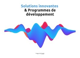 Programmes De Développement - Modèle D'Une Page