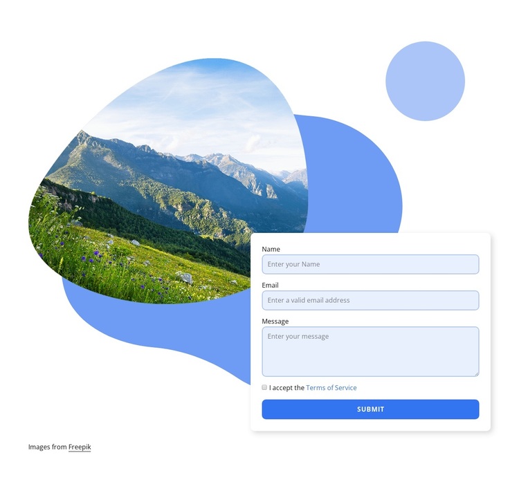 Contact form for travel firm Template