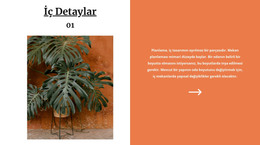 Tasarımda Pişmiş Toprak Rengi - HTML Web Sayfası Şablonu