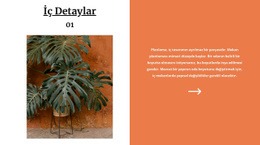 Tasarımda Pişmiş Toprak Rengi Için Sayfa Düzeni