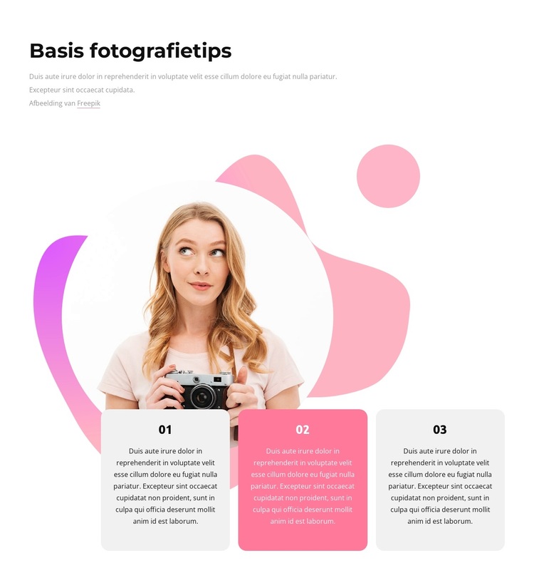Basis fotografietips WordPress-thema