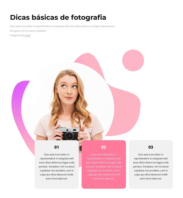 Dicas básicas de fotografia Modelo HTML