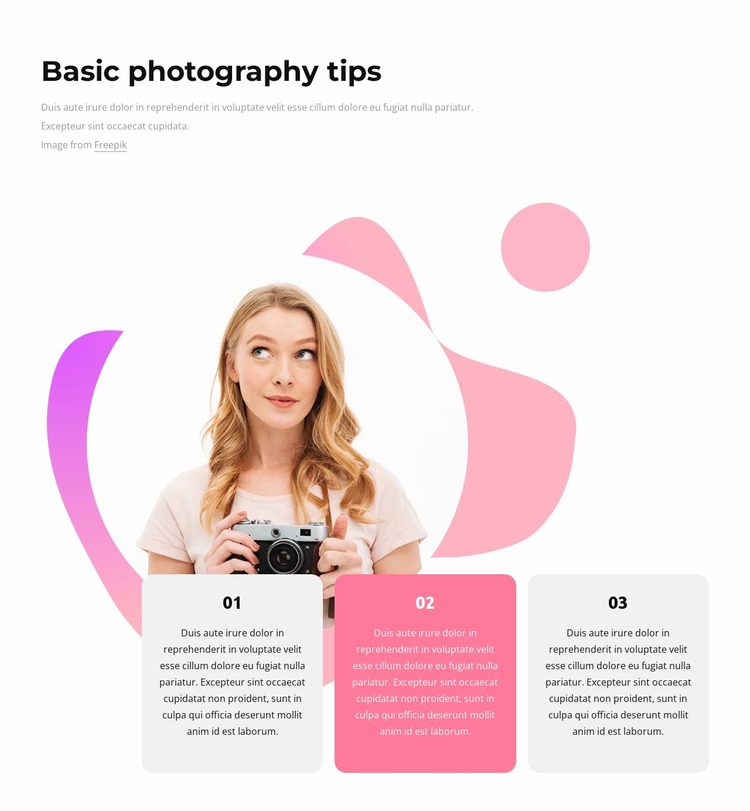 Basic photography tips Website Mockup