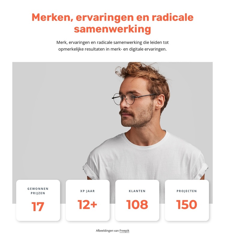 Ontwerp van merkervaring WordPress-thema