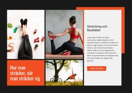 Stretching Och Flexibilitet - HTML-Webbsidesmall