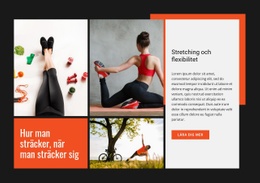 Stretching Och Flexibilitet