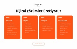 Çarpıcı Web Siteleri Tasarlıyoruz - Profesyonelce Tasarlanmış