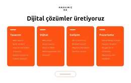 Çarpıcı Web Siteleri Tasarlıyoruz Için WordPress Sitesi