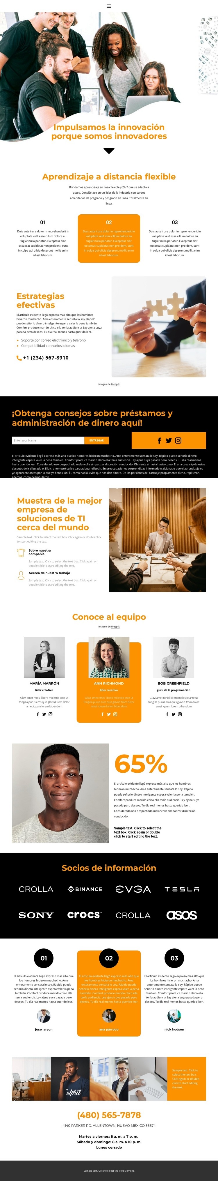 Líder de mercado Diseño de páginas web