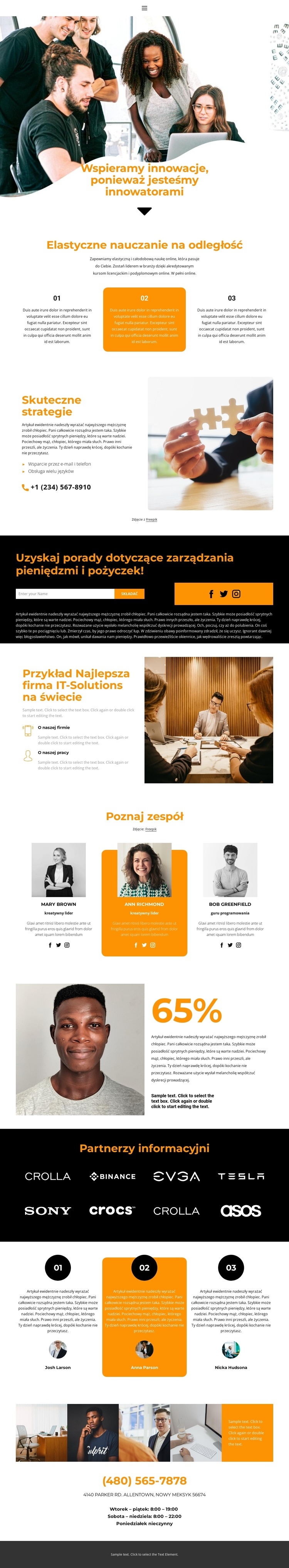 Lider na rynku Projekt strony internetowej