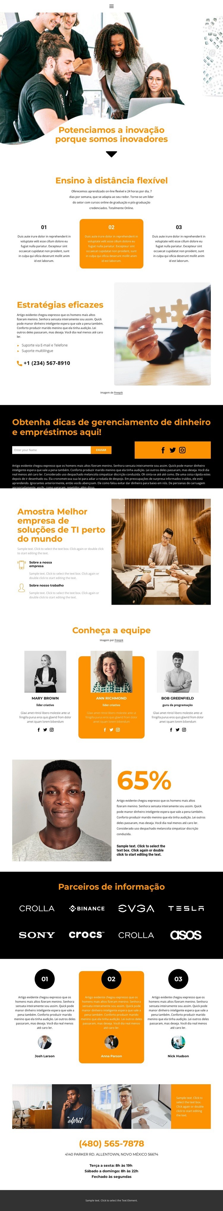 Líder de mercado Design do site